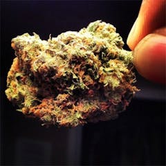 User uploaded image of Seattle Blue