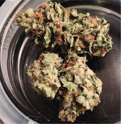 User uploaded image of Seattle Blue