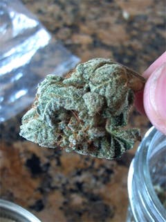 User uploaded image of Seattle Blue