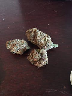 User uploaded image of Seattle Cough
