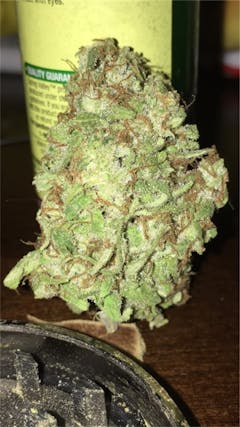 User uploaded image of Seattle Cough