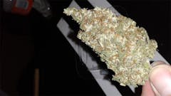 User uploaded image of Seattle Cough