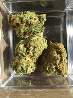 User uploaded image of Sensi Skunk
