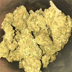 User uploaded image of Sensi Star