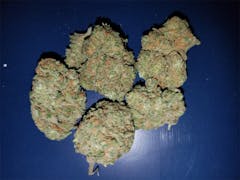 User uploaded image of Sensi Star