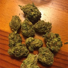 User uploaded image of Sensi Star