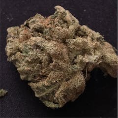 User uploaded image of Sensi Star