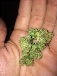 User uploaded image of Sexxpot