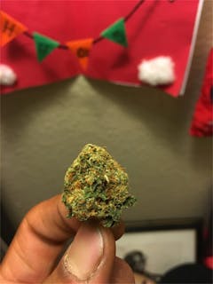 User uploaded image of SFV OG Kush