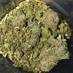 User uploaded image of SFV OG Kush