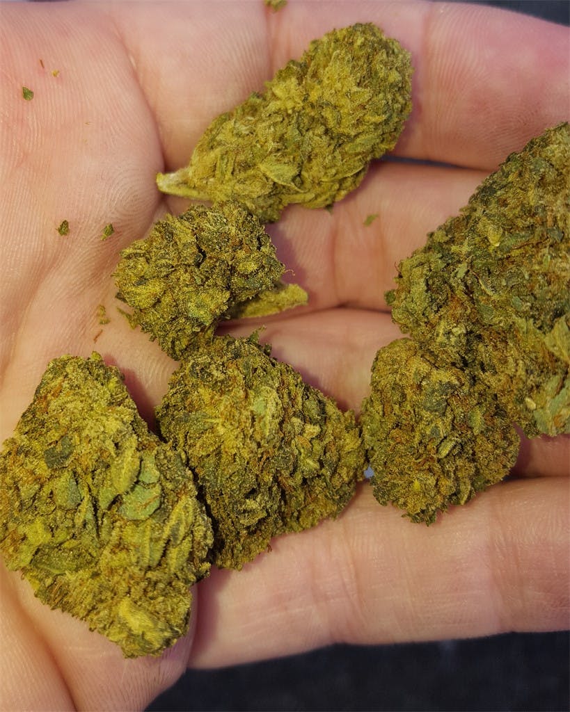 SFV OG Kush aka San Fernando Valley Kush, SFV OG,