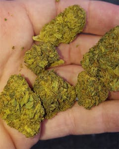 User uploaded image of SFV OG Kush