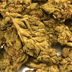 User uploaded image of SFV OG