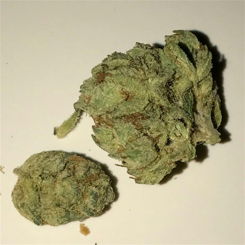 SFV OG aka San Fernando Valley OG, San Fernando Valley