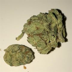 User uploaded image of SFV OG