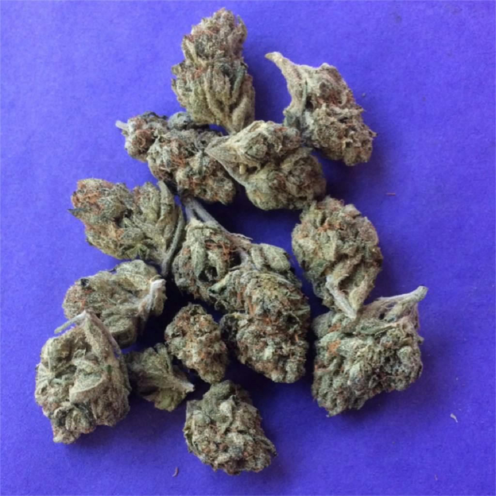 SFV OG aka San Fernando Valley OG, San Fernando Valley