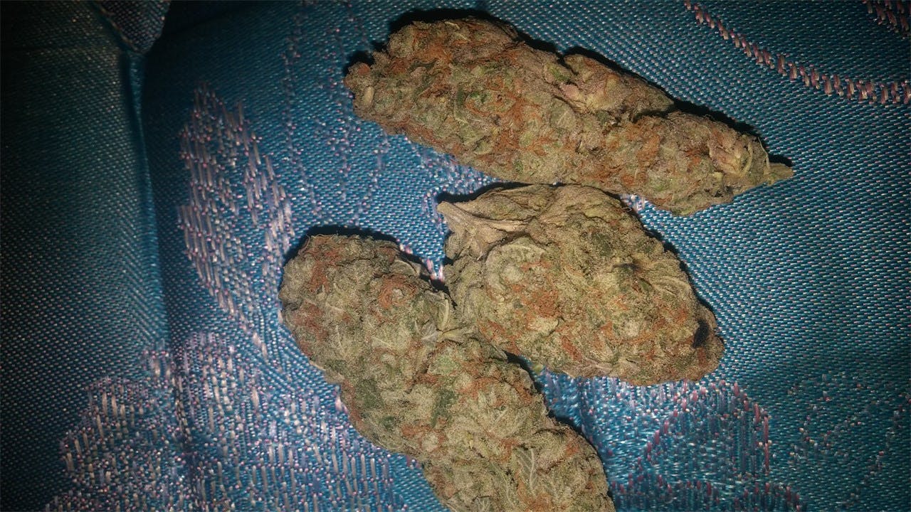 SFV OG aka San Fernando Valley OG, San Fernando Valley
