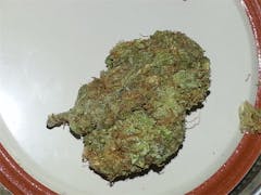 User uploaded image of Shangri-La