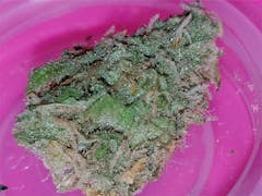 User uploaded image of Shangri-La