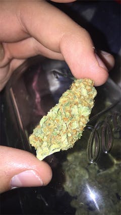 User uploaded image of Sharksbreath