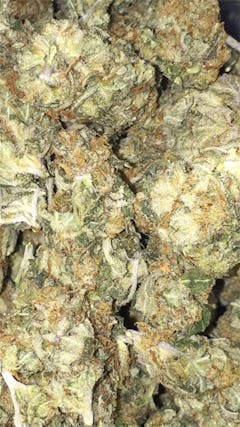 User uploaded image of Sharksbreath