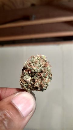 User uploaded image of Sharksbreath