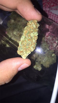 User uploaded image of Sharksbreath
