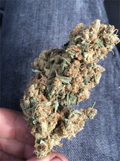User uploaded image of Shiatsu Kush