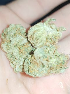 User uploaded image of Shining Silver Haze