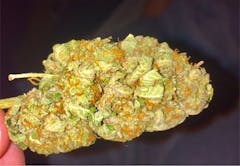 User uploaded image of Shining Silver Haze