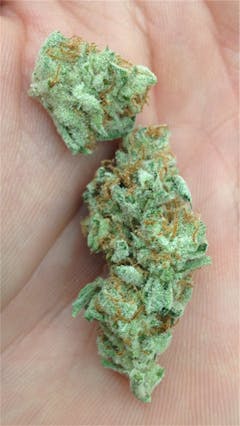 User uploaded image of Shipwreck