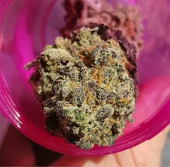 User uploaded image of Shipwreck