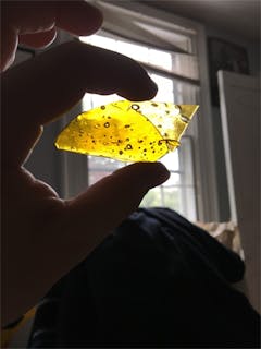 User uploaded image of Shishkaberry