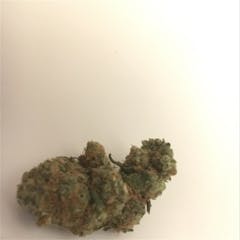 User uploaded image of Shishkaberry