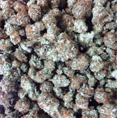 User uploaded image of Shiva Skunk