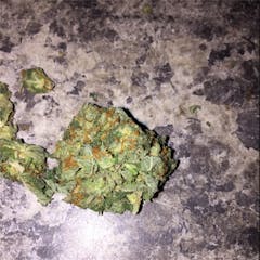 User uploaded image of Shiva Skunk