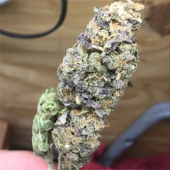 User uploaded image of Shoreline