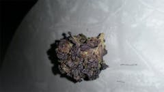 User uploaded image of Shoreline