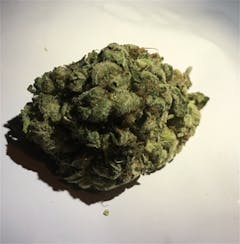 User uploaded image of Silver Back