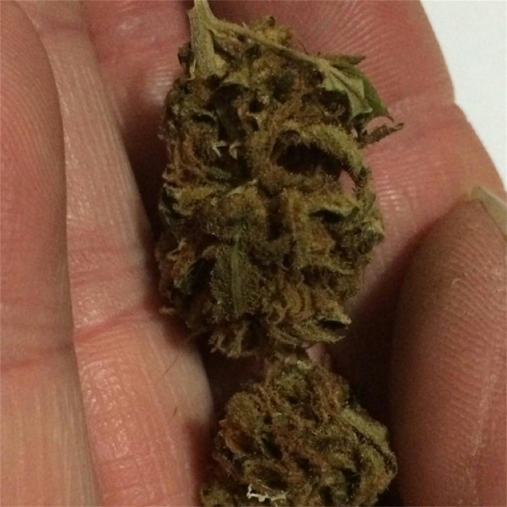 Silver Bubble Weed Strain Information Leafly