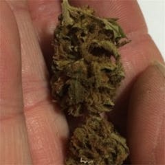 User uploaded image of Silver Bubble