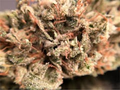 User uploaded image of Silver Bubble