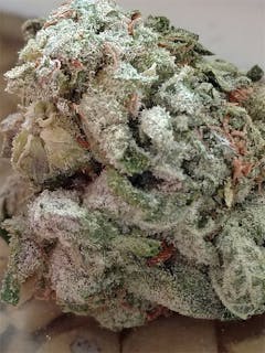 User uploaded image of Silver Haze