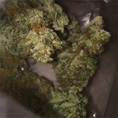 User uploaded image of Silver Haze