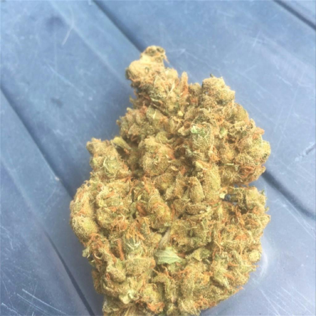 Silver haze описание сорта