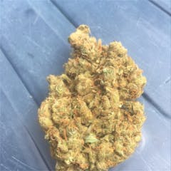 User uploaded image of Silver Haze