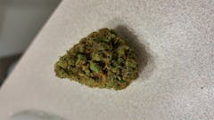 User uploaded image of Silver Haze