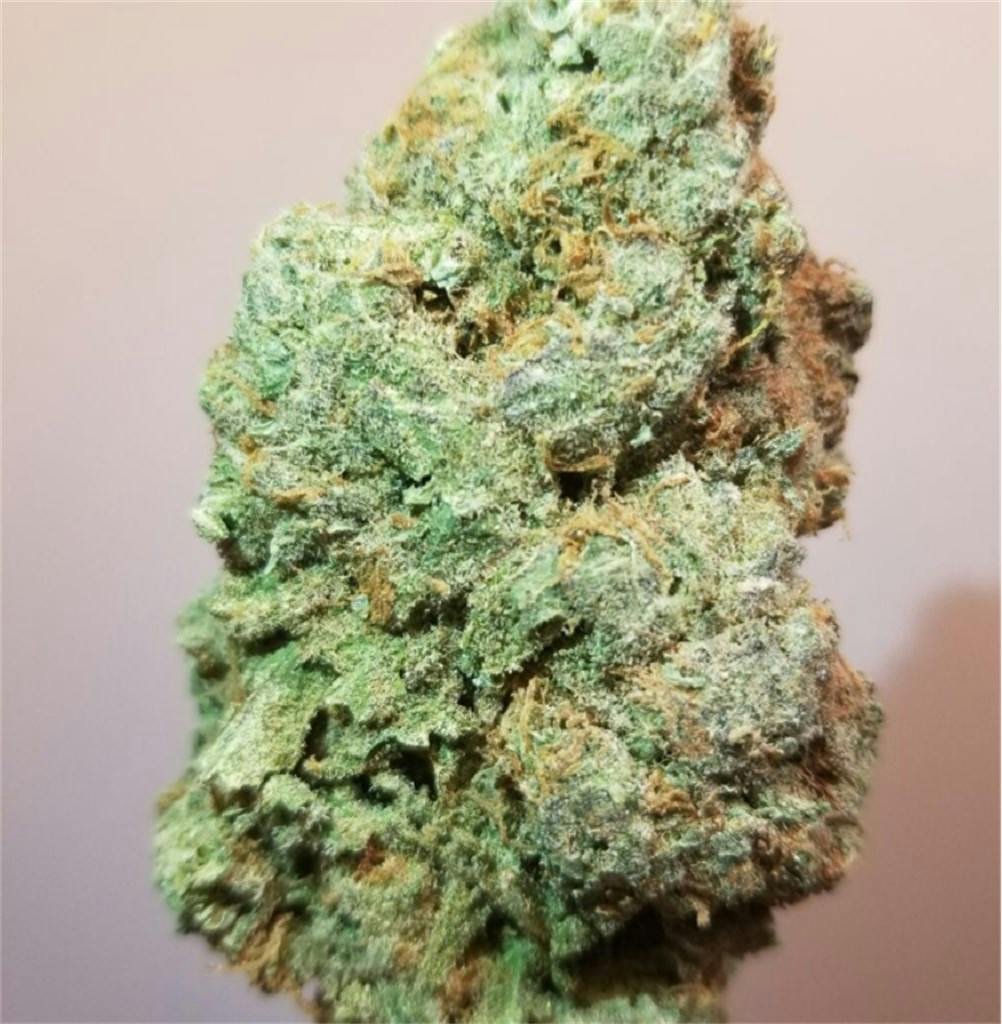 Silver haze описание сорта