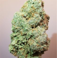 User uploaded image of Silver Haze