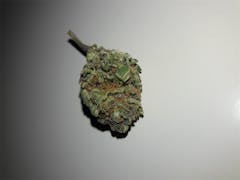 User uploaded image of Silver Kush